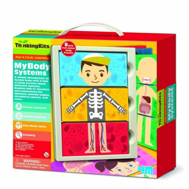 Set explorare anatomie 4M