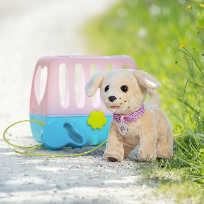 Căţeluşul vesel baby born cu cutie de transport