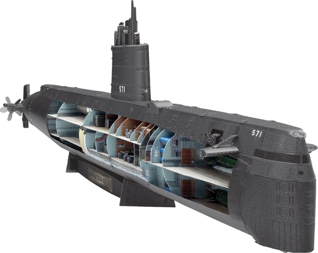 Secțiune transversală autentică a interiorului și cocă realistă