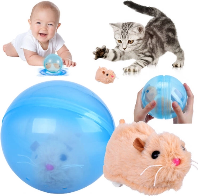 Mișcare distractivă care captivează copiii și animalele de companie