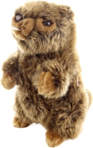 Marmot de pluș cu sunet Eco-Friendly