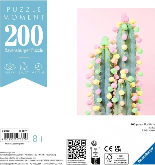 Puzzle Moment: Cactus 200 piese