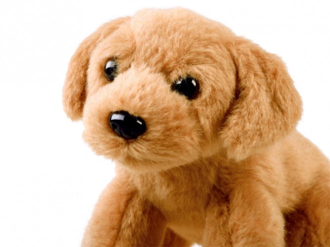 Câine de pluș șezând 13 cm