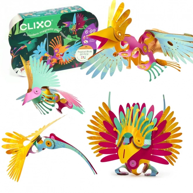 Set magnetic Clixo păsări tropicale din pădurea ecuatorială