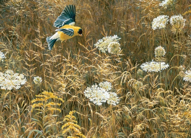 Arta realistă a lui Robert Bateman