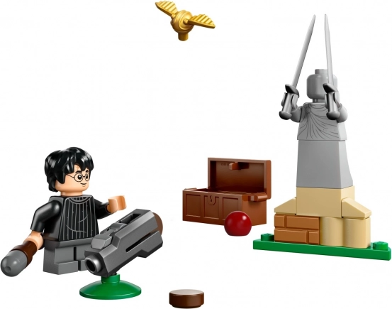 Cărămizi LEGO Harry Potter Lecția de Quidditch