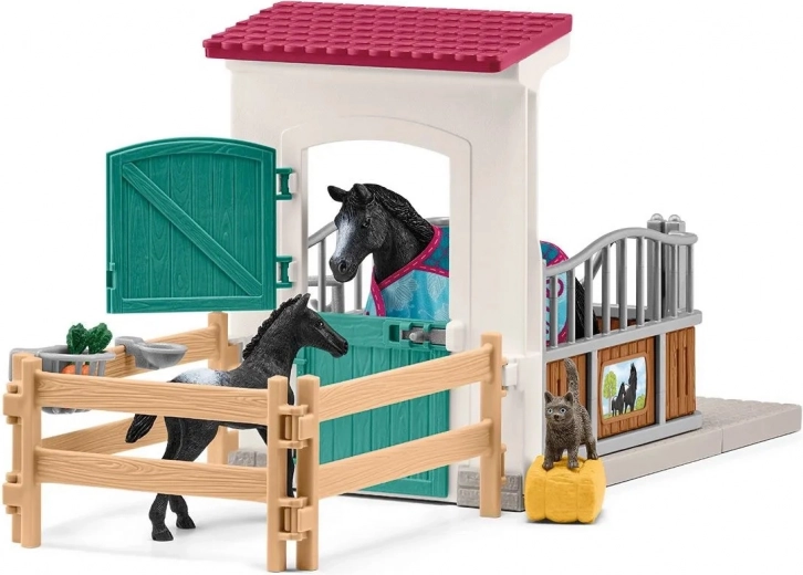 Box complet pentru îngrijirea cailor