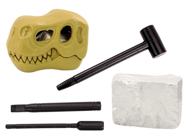 Set arheologic descoperiri dinozauri fosile craniu