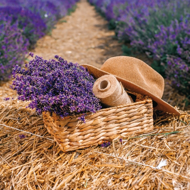 Calendar de notițe Provence 2026