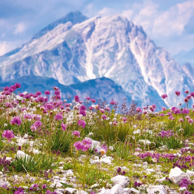 Calendar de notițe Alpi 2026