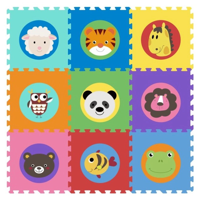 Motive educative cu animale