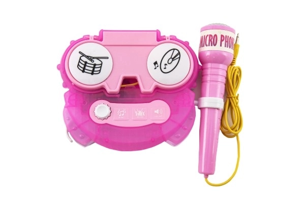 Microfon karaoke roz