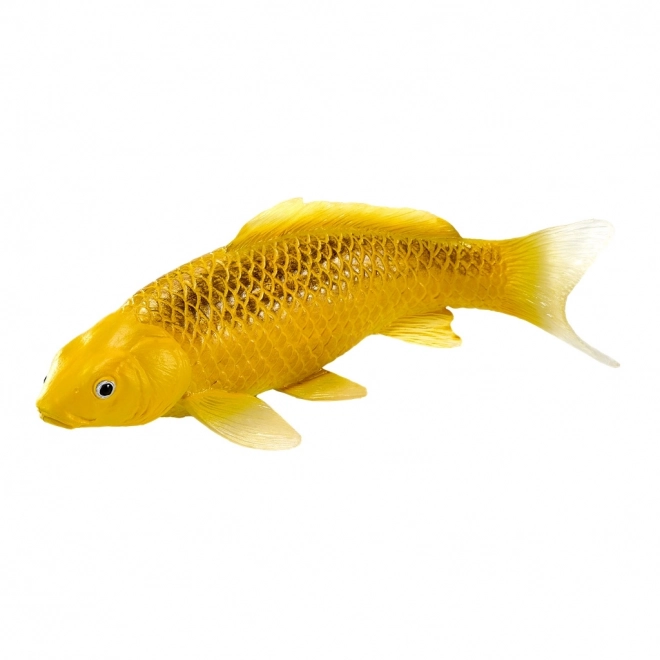 Mojo crap koi Matsuba