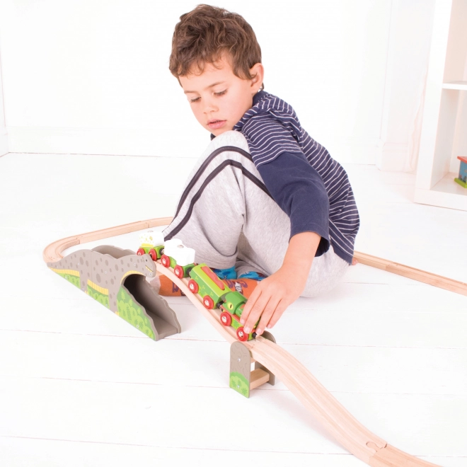 Pod Dinosauri Bigjigs Rail