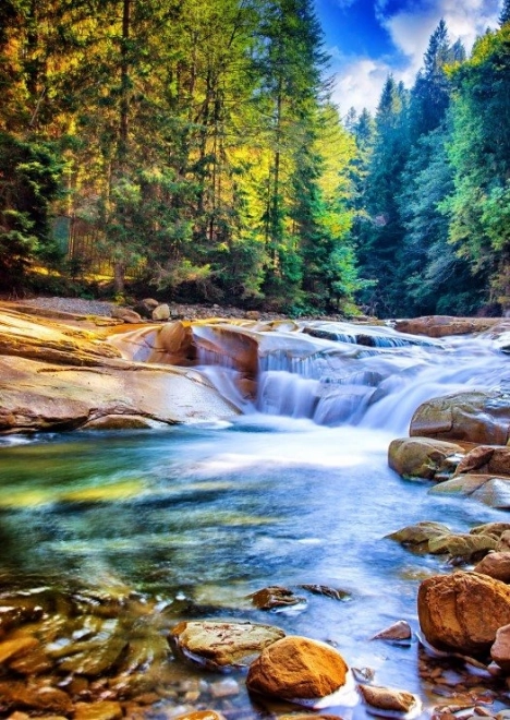 Puzzle cascada frumoasă în pădure 2000 piese