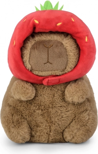 Dimensiune ideală 20 cm