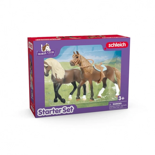 Set de start Horse Club Paso Peruvian