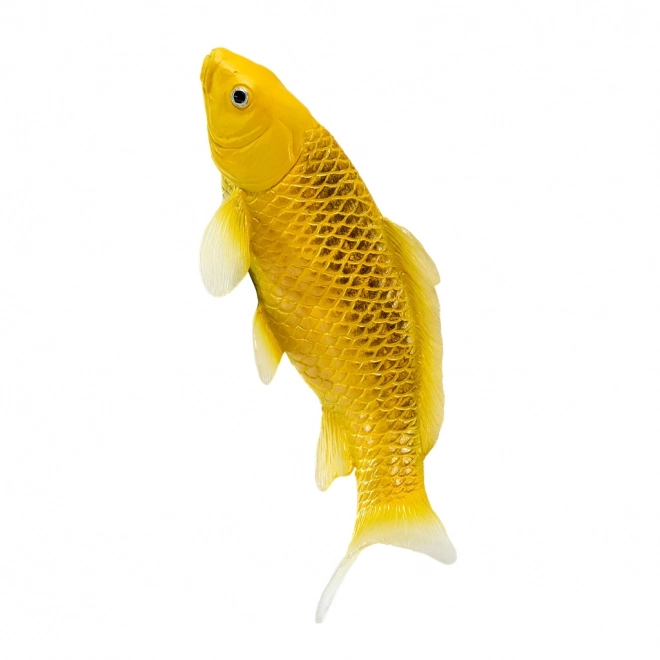 Mojo crap koi Matsuba