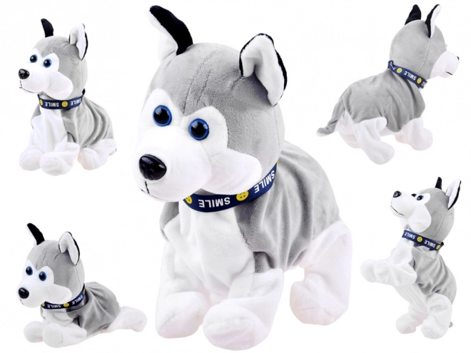 Pui interactiv Husky care reacționează la atingere