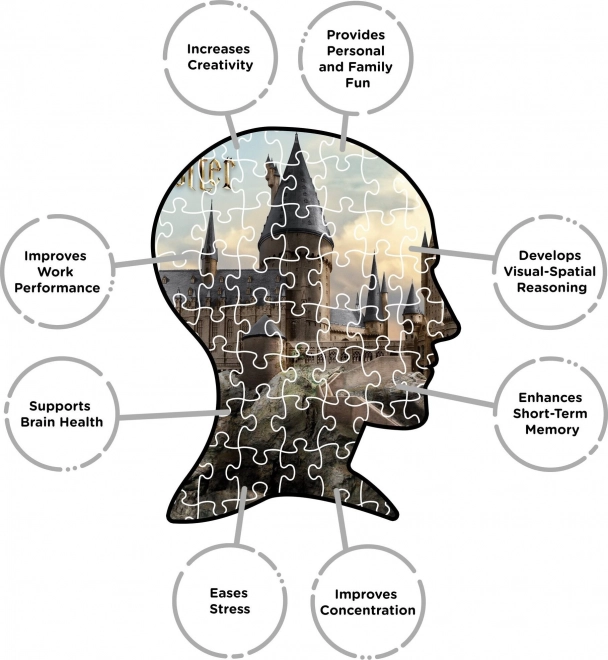 AQUARIUS Puzzle Harry Potter: Hogwarts 3000 piese