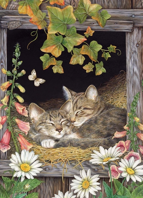 Puzzle Surorile 500 piese de la Cobble Hill