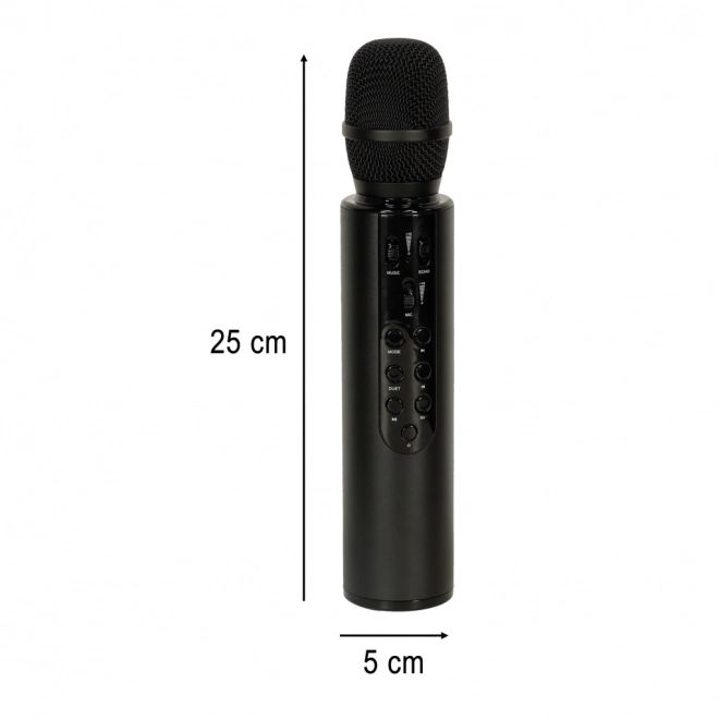 Microfon wireless de karaoke Bluetooth negru – Negru