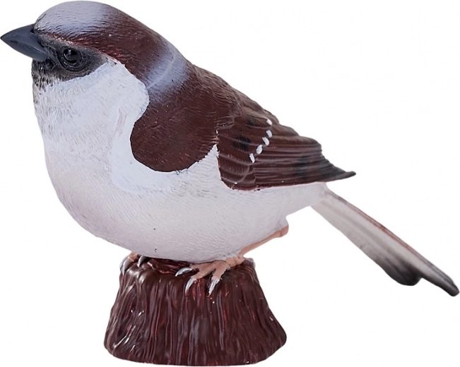 Execuție sigură și durabilă