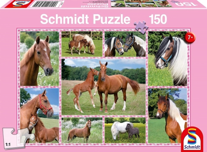 Puzzle Schmidt cai superbi 150 piese