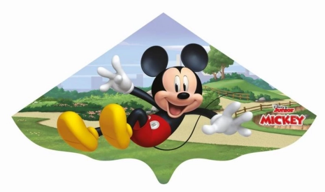 zmeu cu un șnur Mickey Mouse