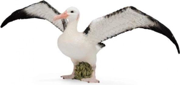 Albatros călător