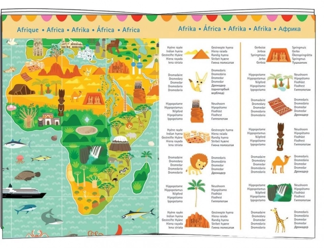 Puzzle observațional DJECO: În jurul lumii