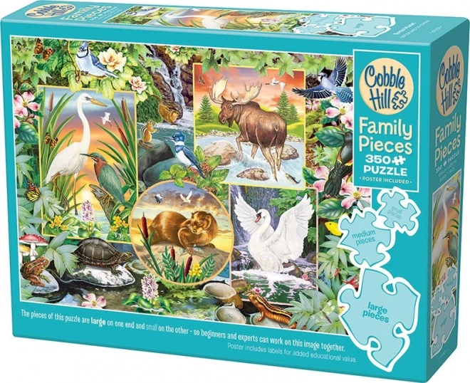 puzzle de familie magie de râu 350 piese