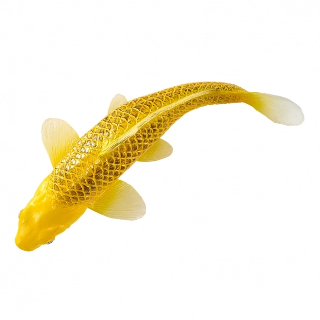 Mojo crap koi Matsuba
