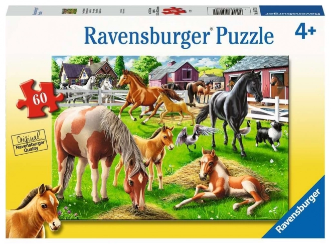 Puzzle Ravensburger Happy Horses 60 piese