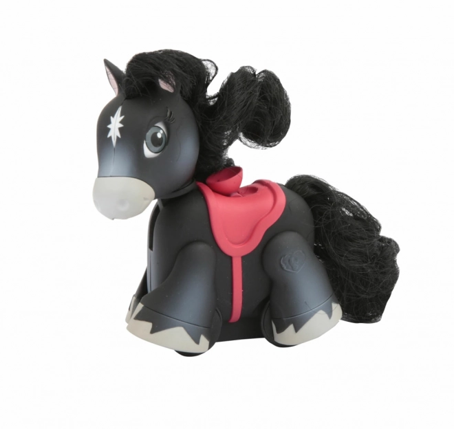 Poneii Pet Parade