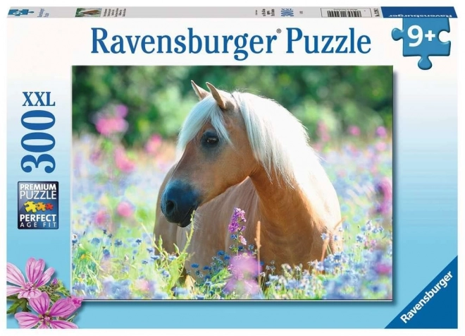 Puzzle Cal Ravensburger 300 piese