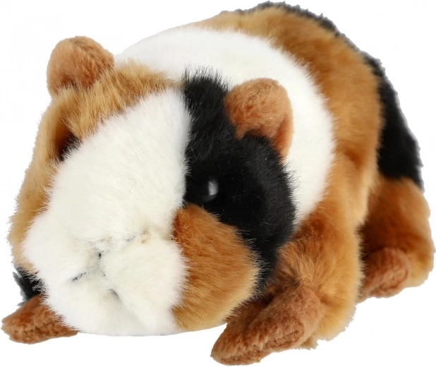 Colorit realist în trei culori