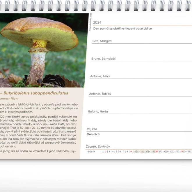 Calendar de birou Ciuperci 2026