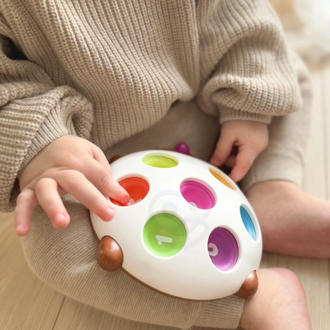 Arici Pop-it cu numere WOOPIE Jucării Fidget