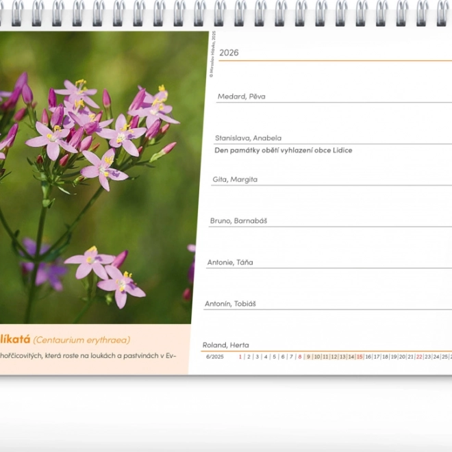Calendar de birou Farmacia naturii 2026