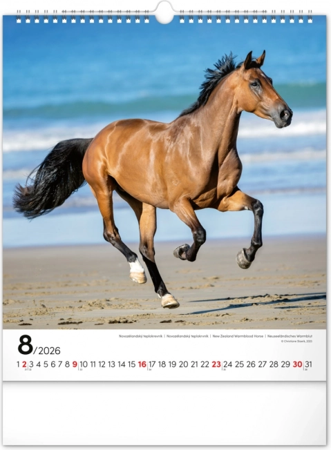 Calendar de perete Cai 2026