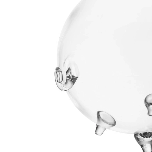 Skarboncă porcușor din sticlă transparentă Ruhhy