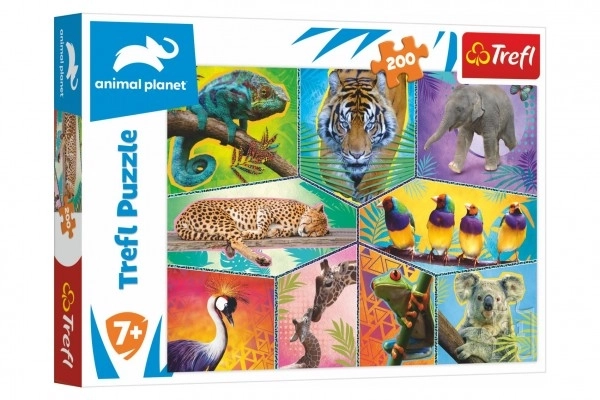 Puzzle Animal Planet: Lumea animalelor exotice 200 piese