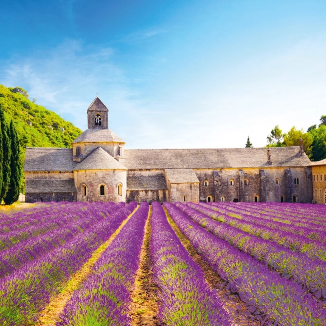 calendar notique anul 2025 cu temă provence, parfum de lavandă