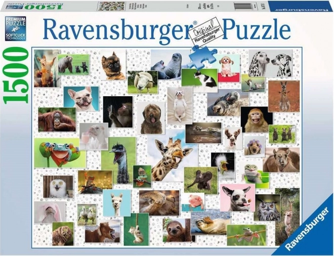 Puzzle Ravensburger 1500 de piese - Animale amuzante