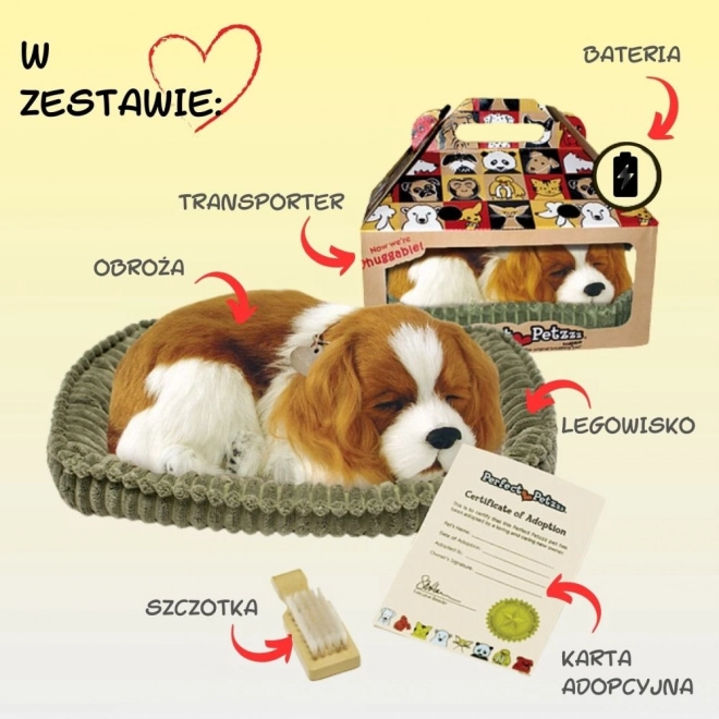 Cățeluș respirator Cavalier
