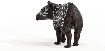 Susține imaginația și cunoașterea naturii