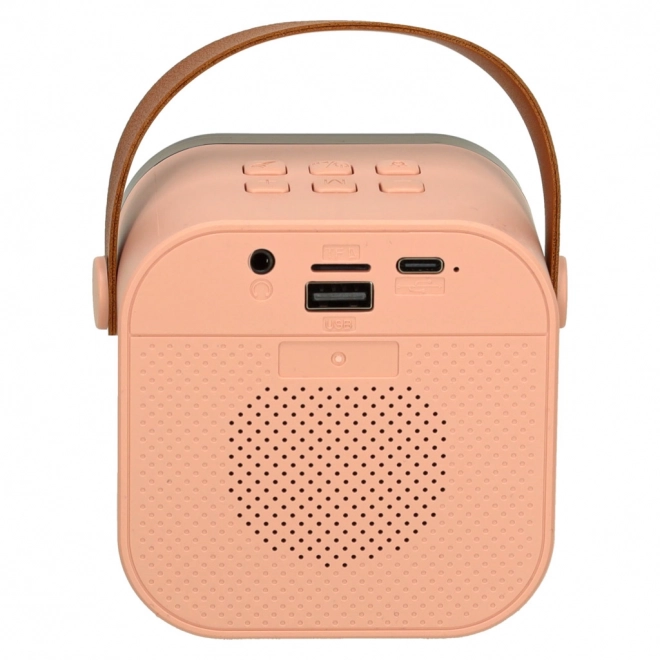 Set karaoke cu microfoane și boxă Bluetooth USB LED roz