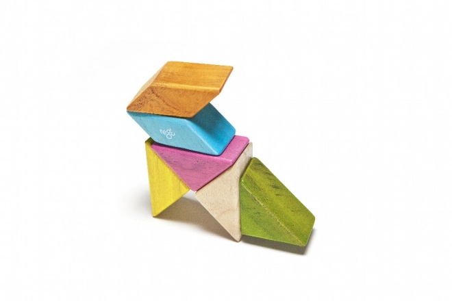 Set de construcție magnetic de buzunar Tegu Tints