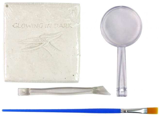 Set arheologic pteranodon